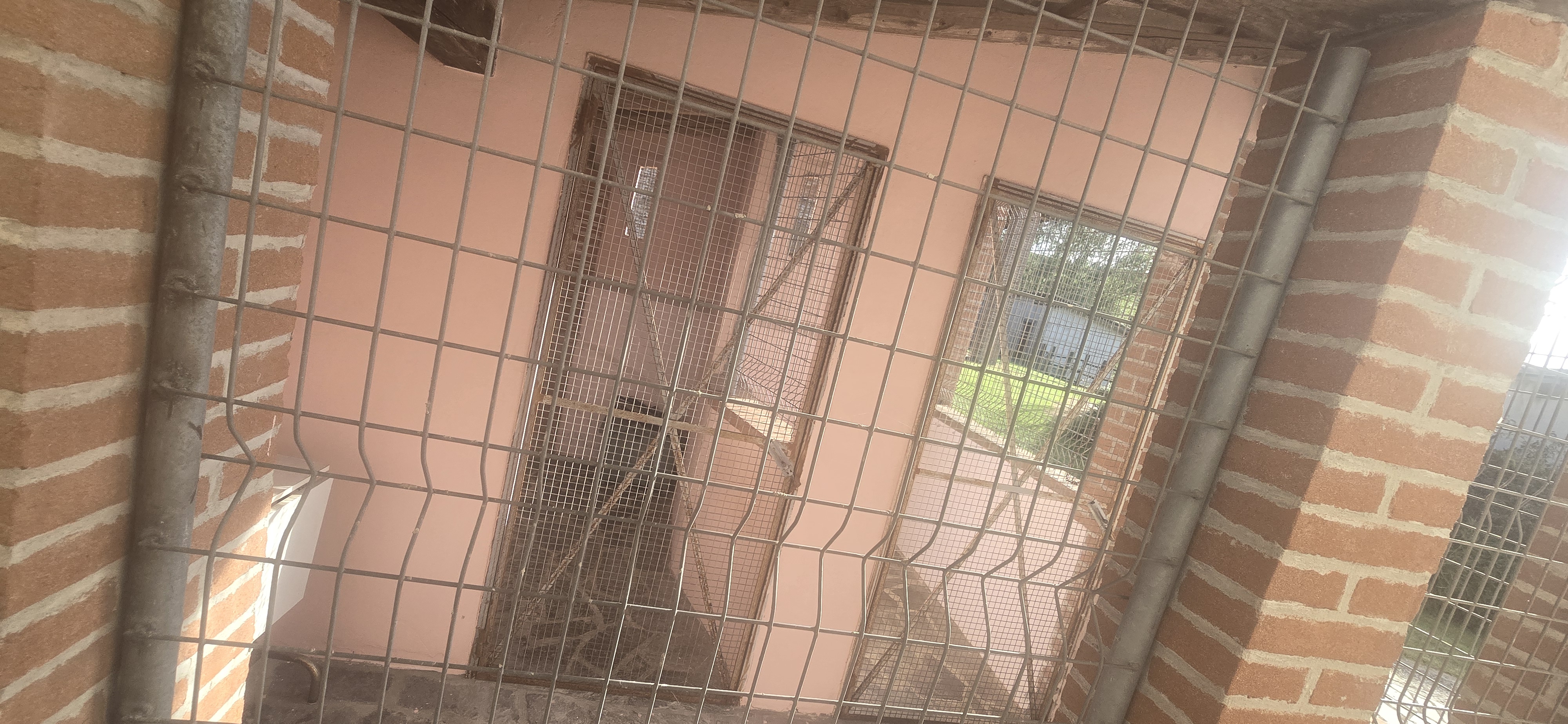 Pensione Dall'Ape alla Zebra - Box per gatti